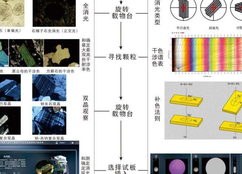 偏光显微镜的工作原理与应用